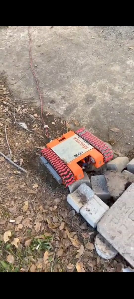 Mustela - Robot de Búsqueda y Rescate